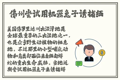 岳睡了我中文字幕日本